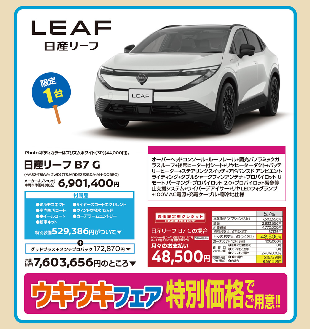 リーフ 限定1台